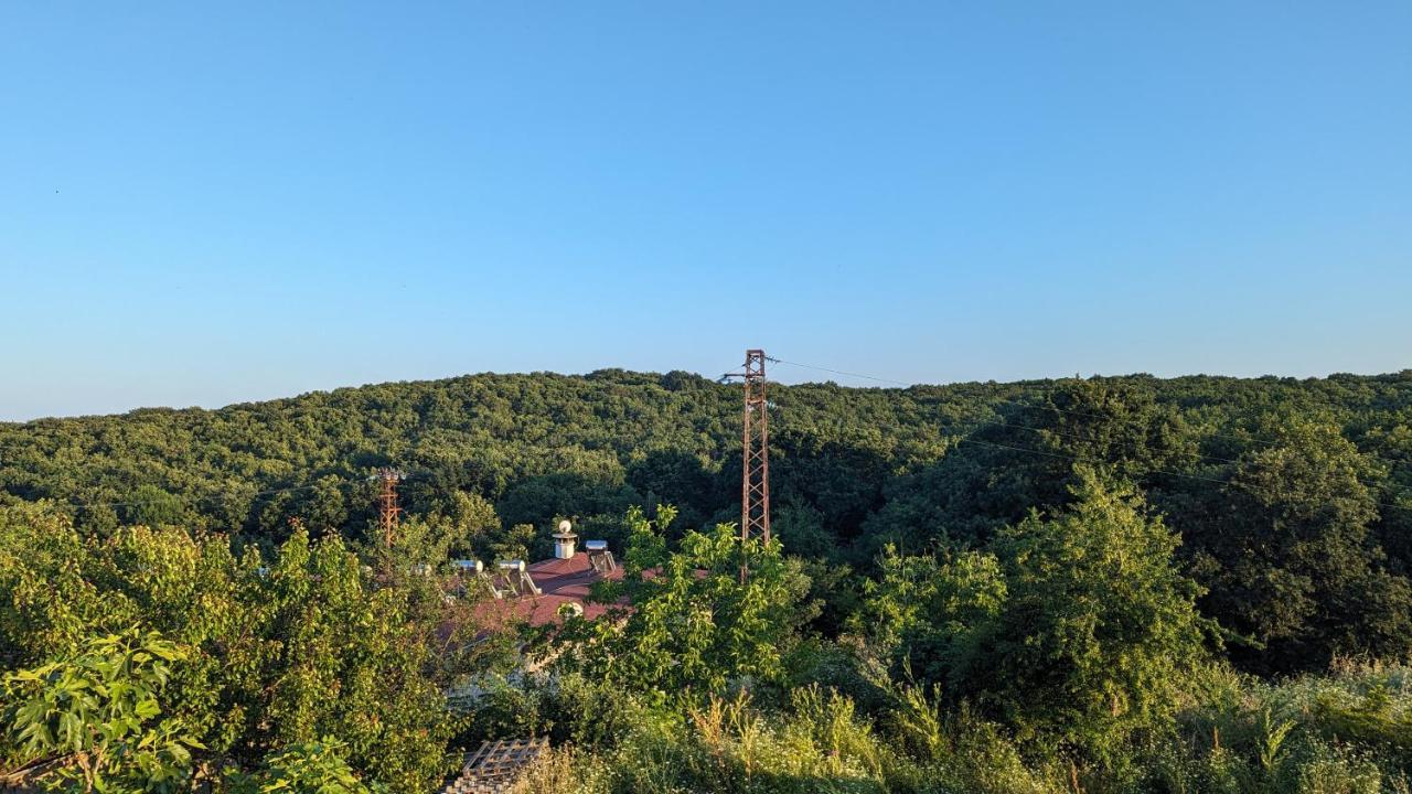 Guest House Chalakov 辛尼莫雷特 外观 照片